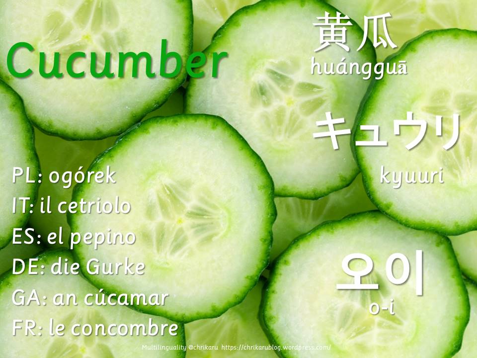 multilingual flashcards cucumber