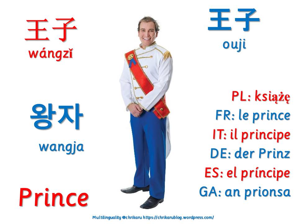 multilingual flashcards prince